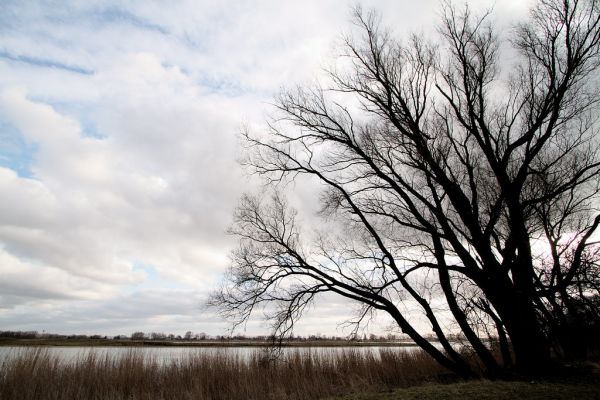 Papendrecht photo 4