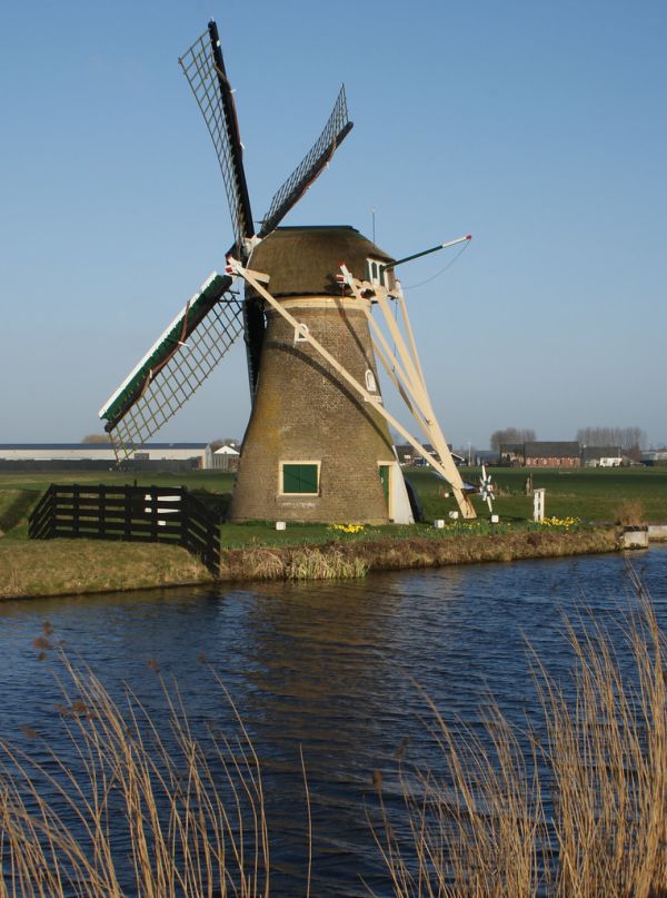 Rijnsburg photo 3