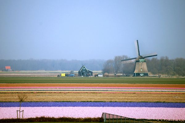 Schagen photo 2