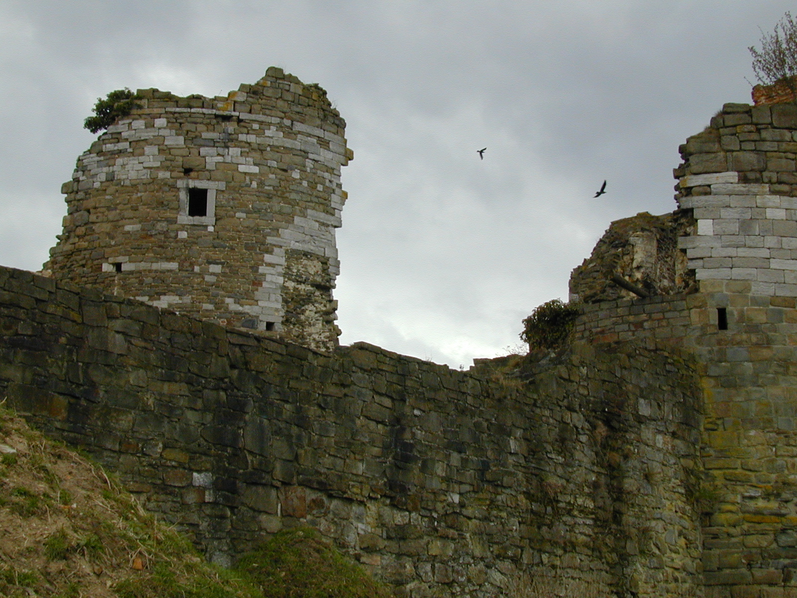 Montfort photo 4