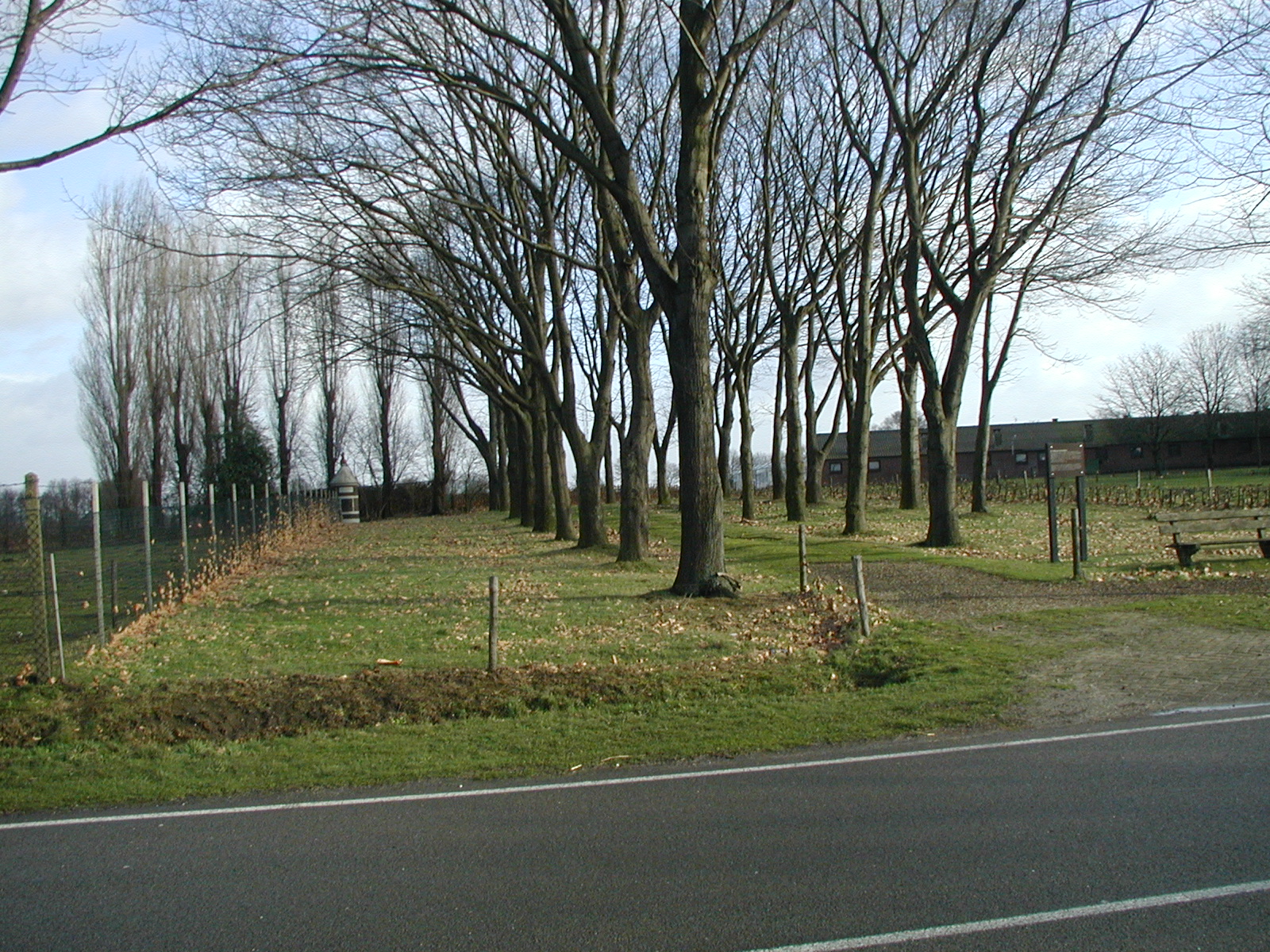 Meijel photo 4