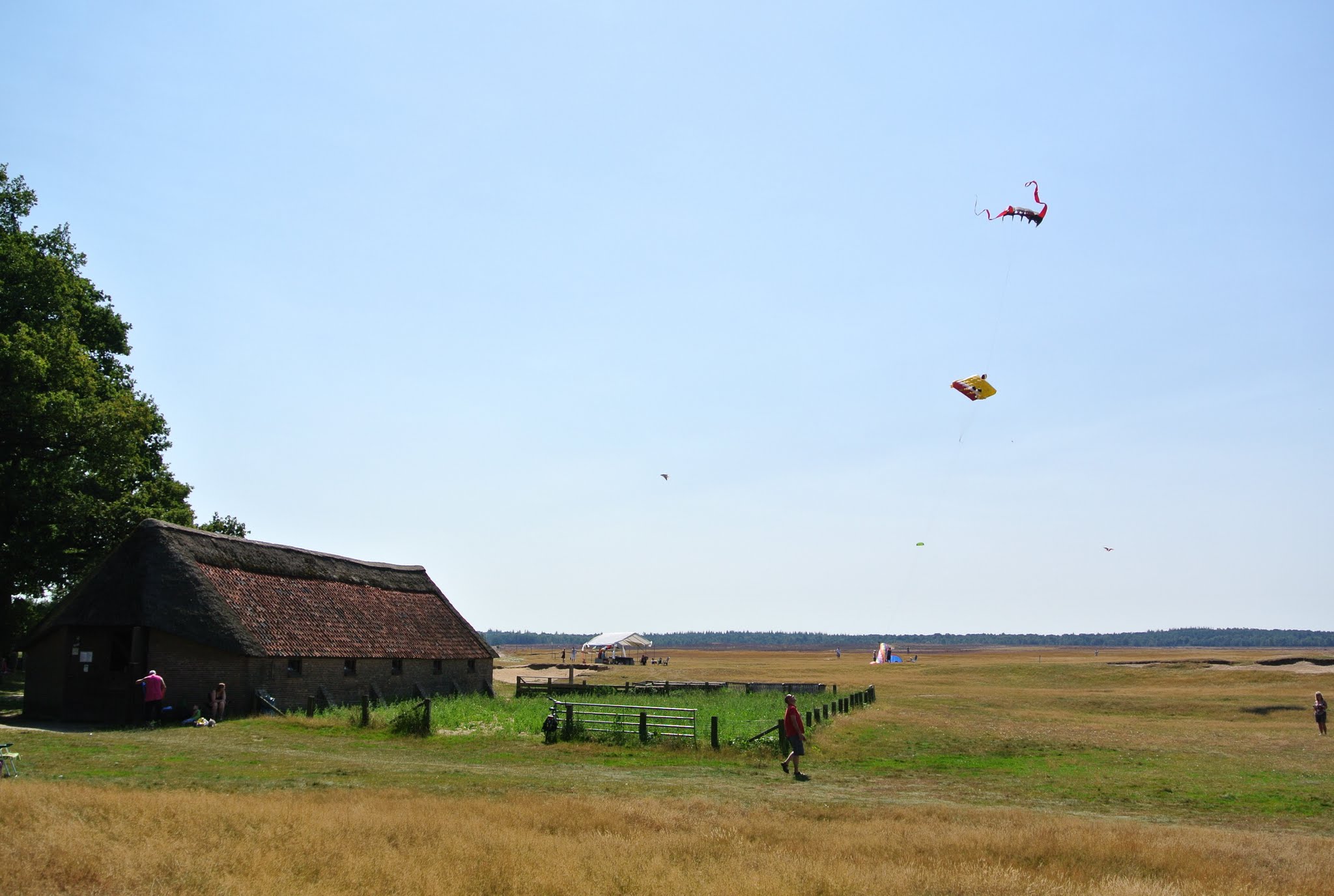 Ede photo 3