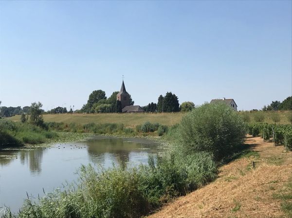 Dodewaard, Gelderland