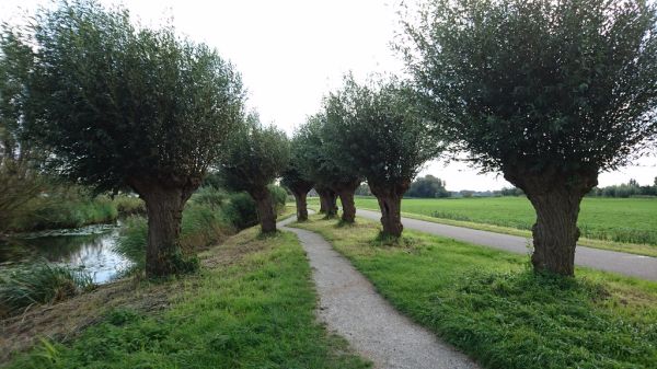 Noord-Aa, South Holland