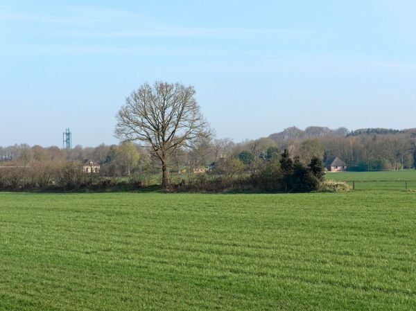 Steenwijk photo 3
