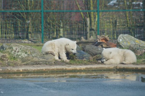 Mierlo, North Brabant