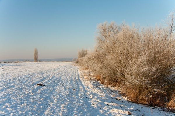 Giesbeek photo 4