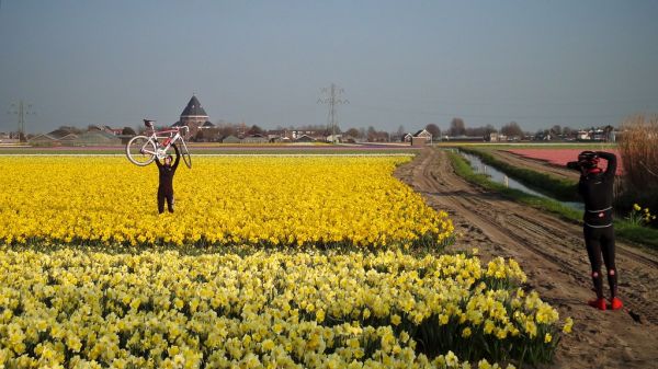 Sassenheim photo 2