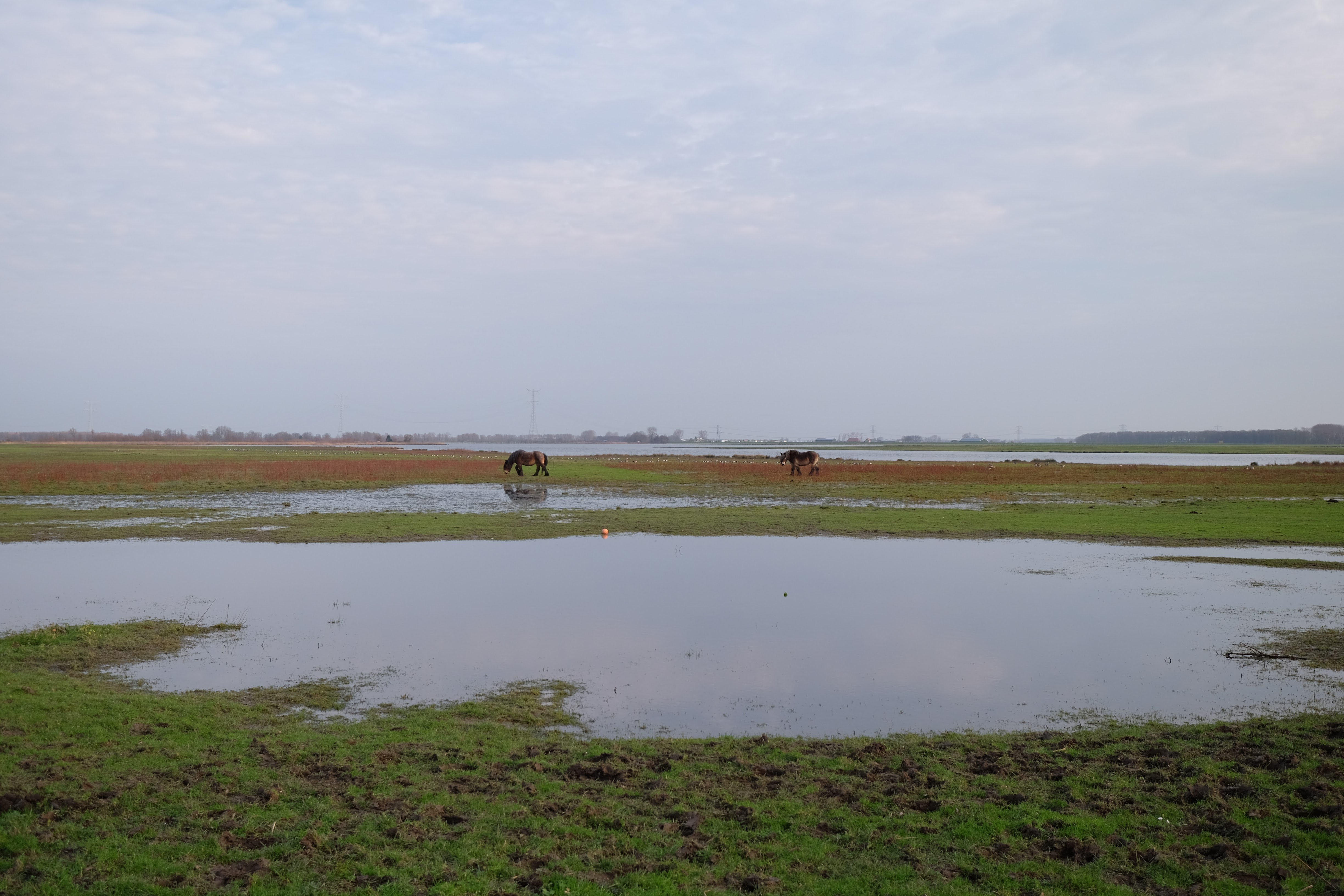 Werkendam photo 2