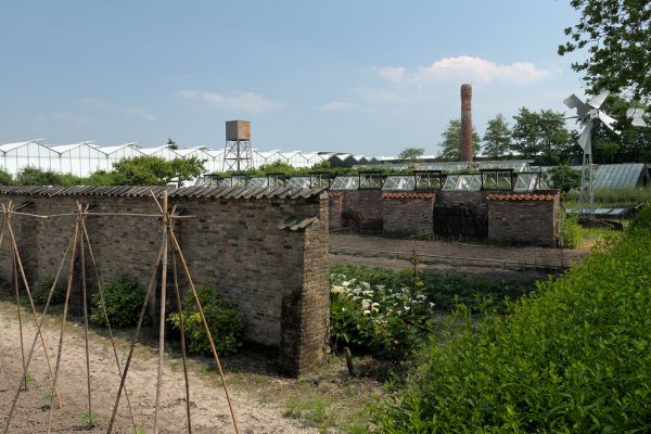 Honselersdijk photo 2