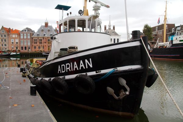 Maasland photo 2