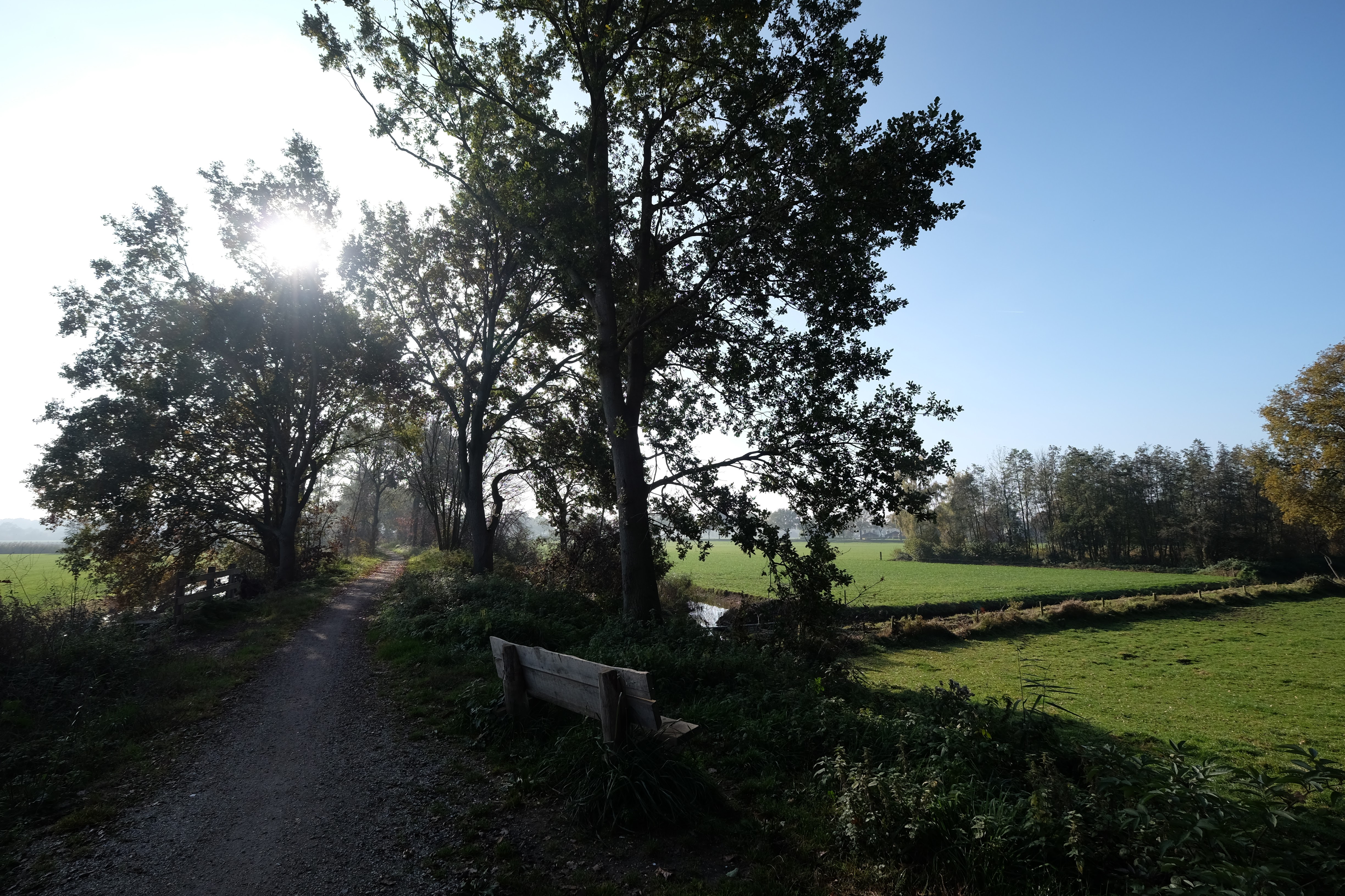 Ederveen photo 2