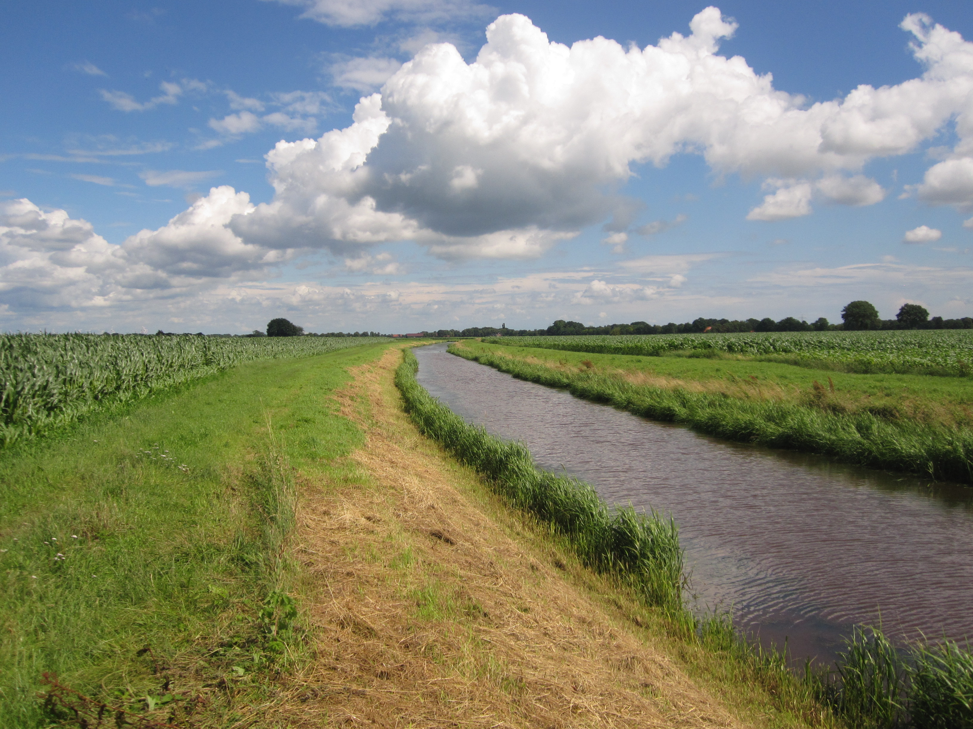 Schoonebeek photo 3