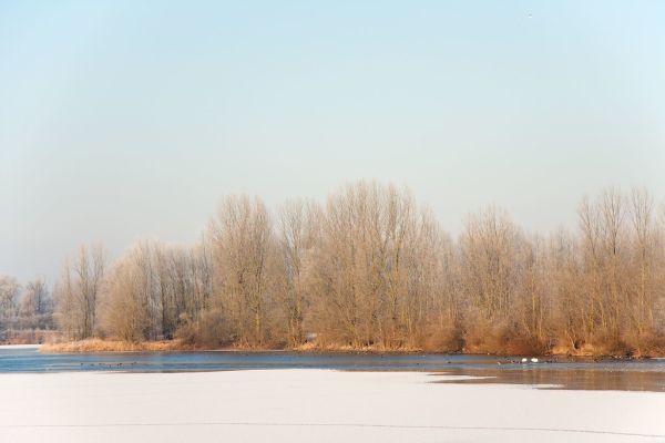 Giesbeek photo 3