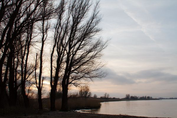 Nieuw-Lekkerland photo 4