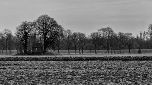 Sliedrecht photo 3