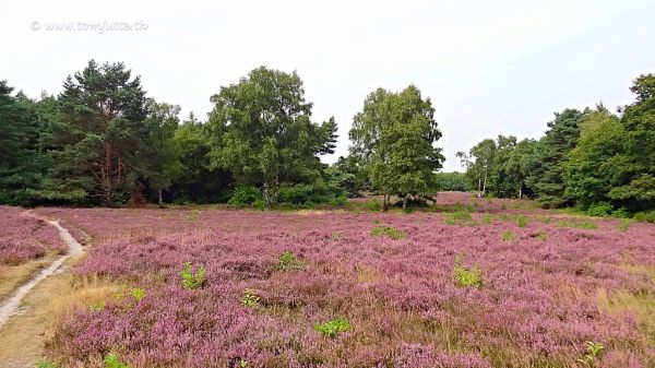 Hilversum photo 2