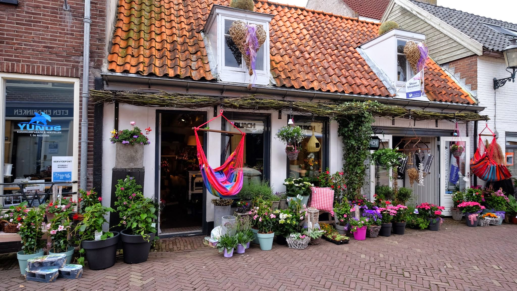 Zwartsluis photo 3