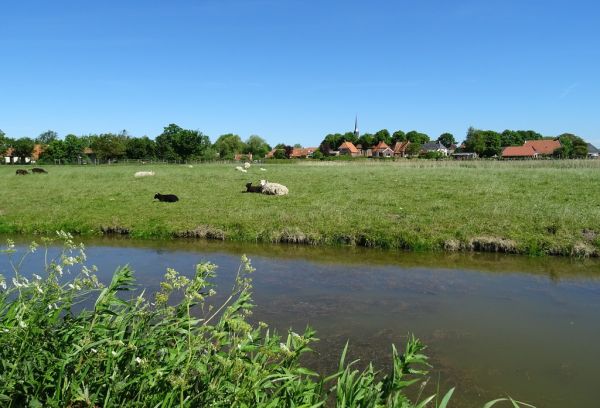 Zuidhorn photo 4