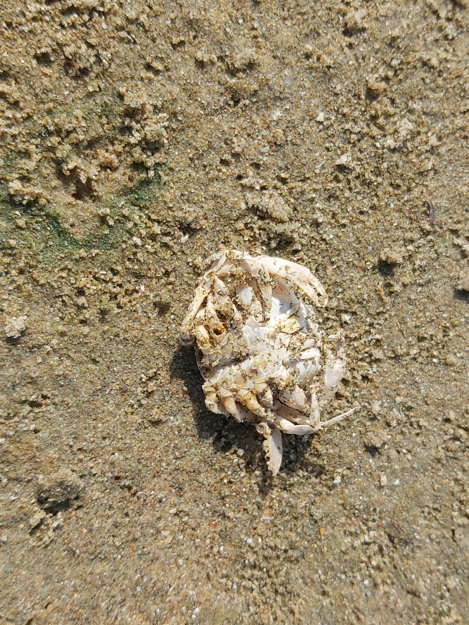 Overveen photo 4