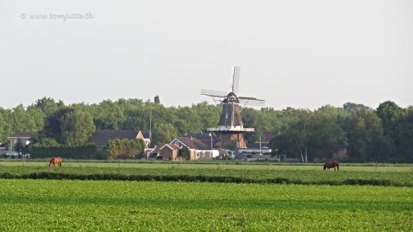 Emmer-Compascuum photo 2