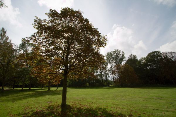 Dussen photo 4