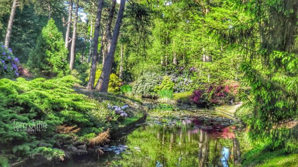 Driebergen-Rijsenburg photo 2