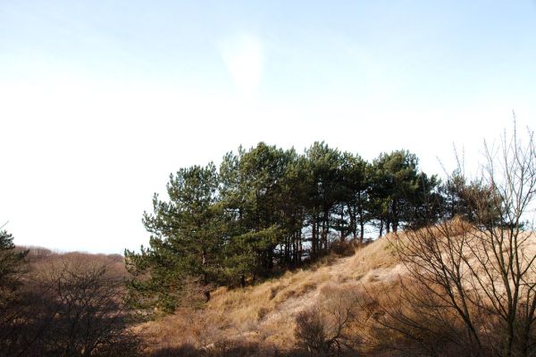 Noordwijk-Binnen photo 4