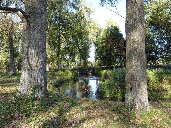 Meerssen photo 3