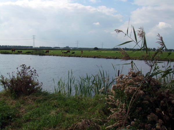 Landsmeer photo 2