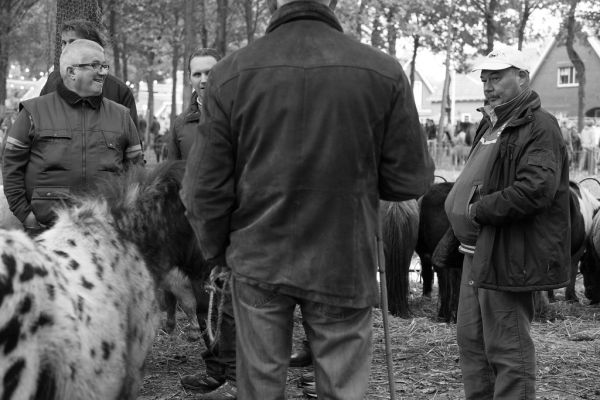 Zuidlaren photo 3