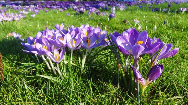 Eerbeek photo 3