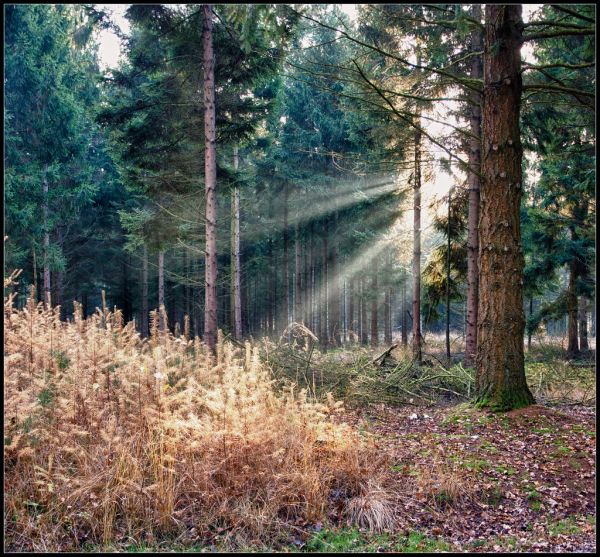 Ruinen, Drenthe