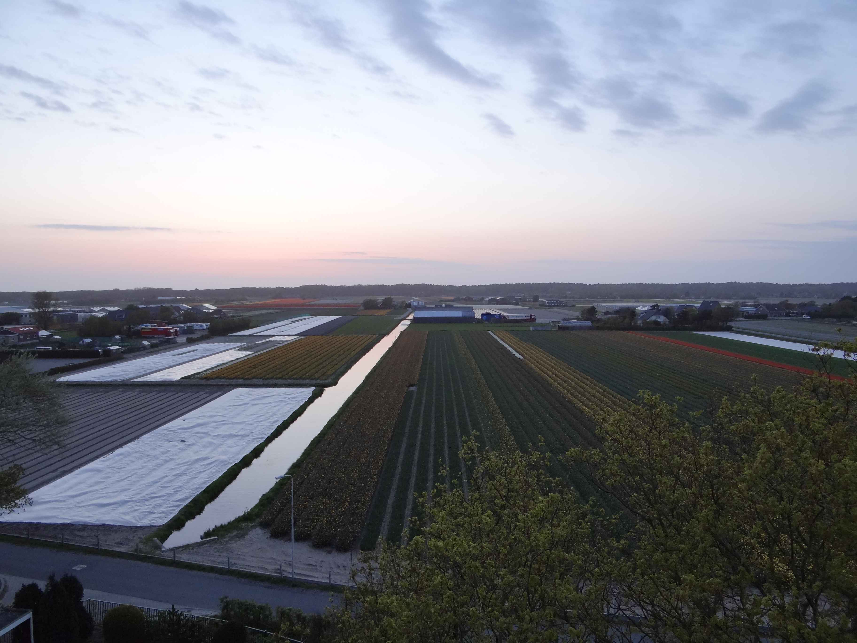 Noordwijkerhout photo 4