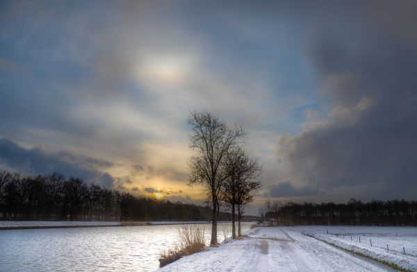 Vries photo 2