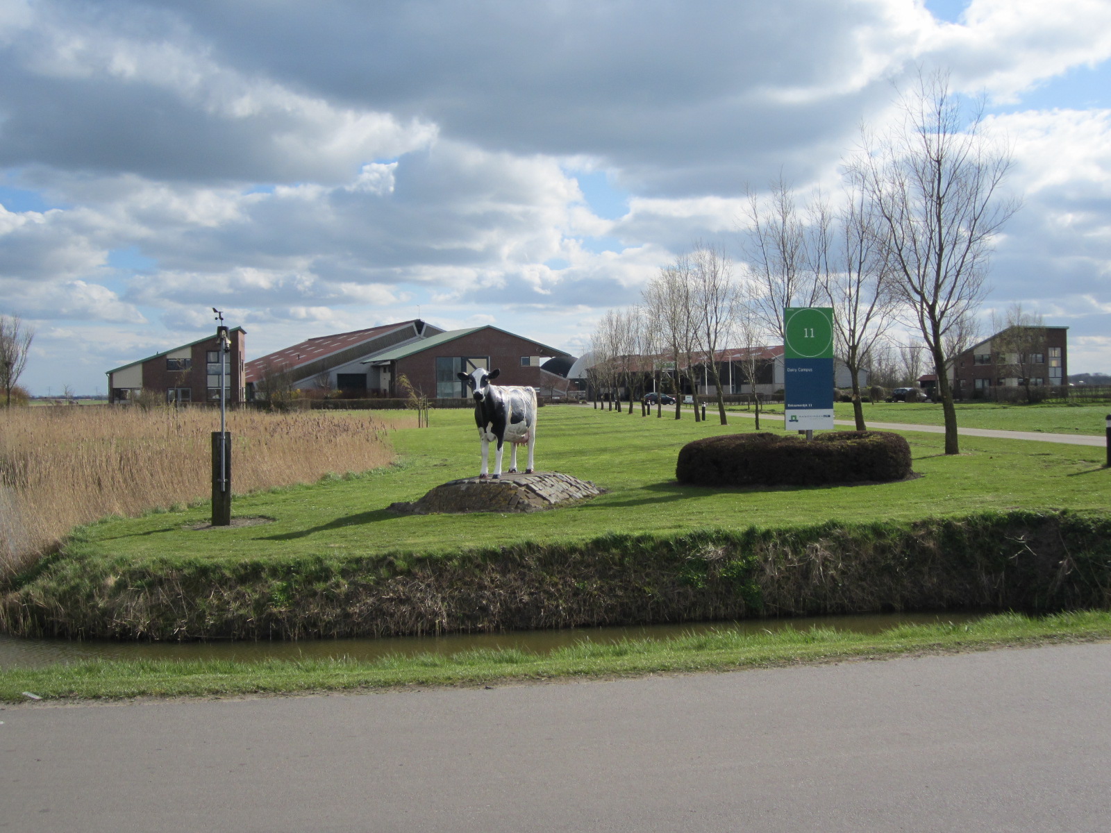 Goutum photo 3
