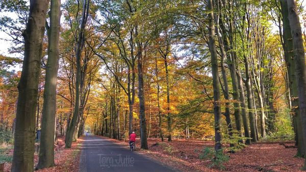 Warnsveld photo 2