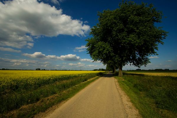 Oosterhout photo 2
