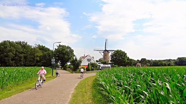 Soest photo 2