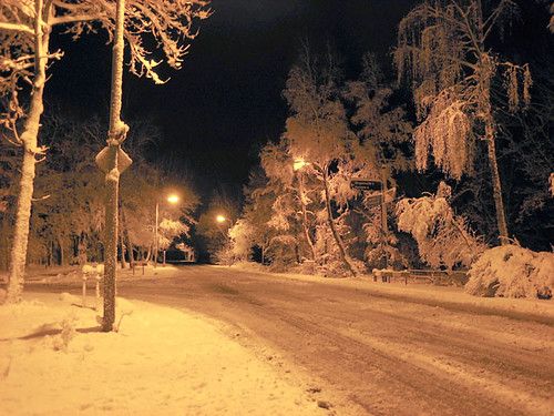 Wezep photo 4