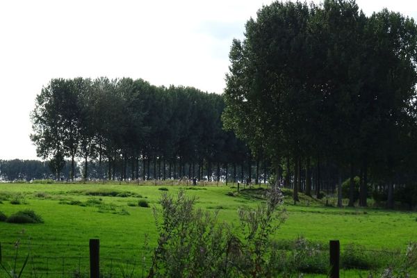 Oostburg photo 3