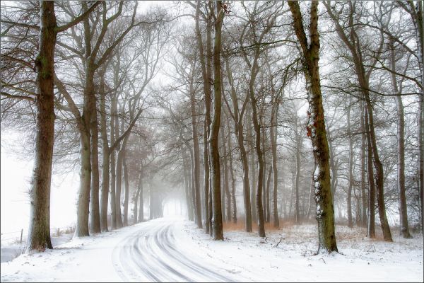Eelde photo 3