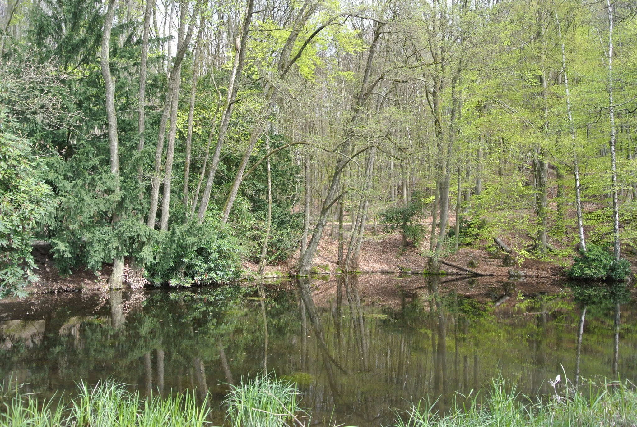 Doorwerth photo 2