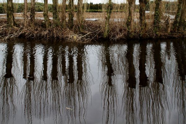 Waddinxveen photo 2