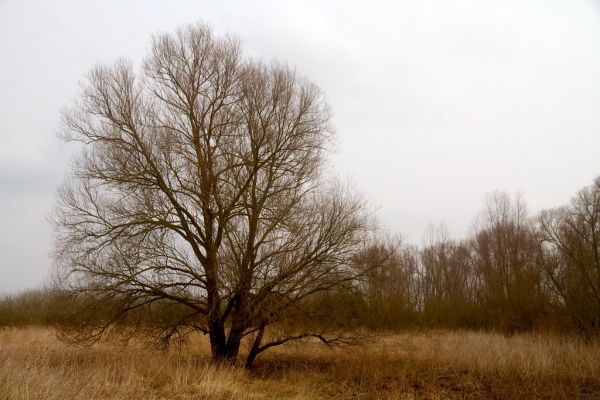 Strijen, South Holland