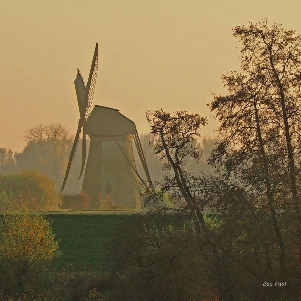Lienden photo 2