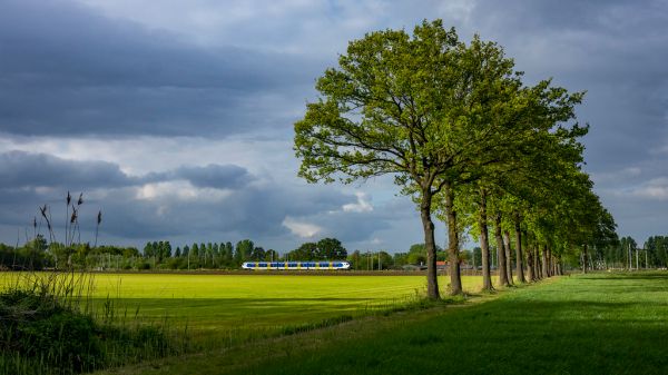 Liempde, North Brabant