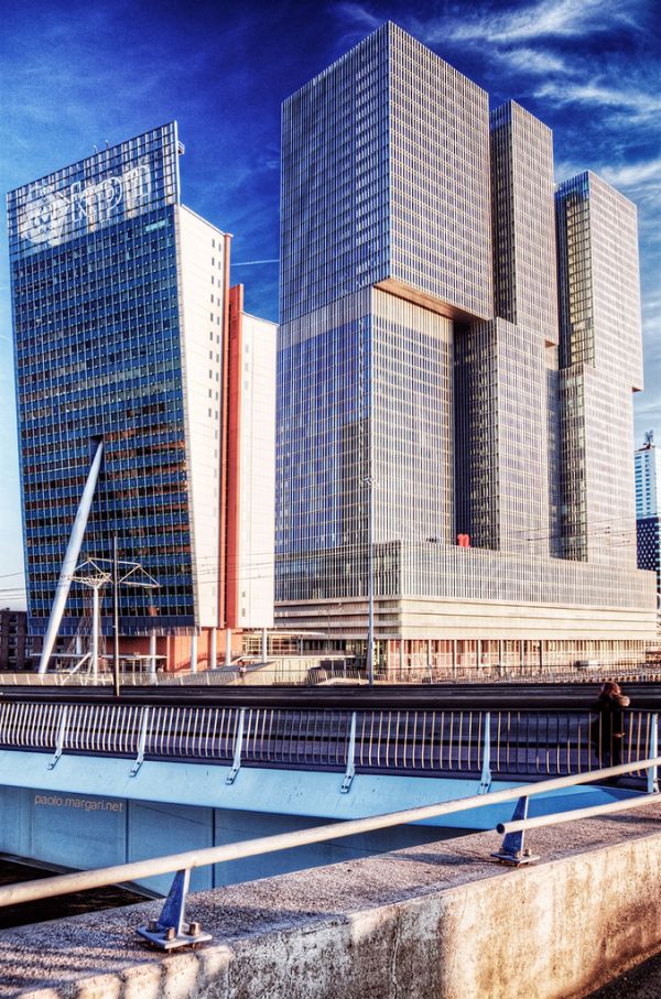 Rotterdam photo 2