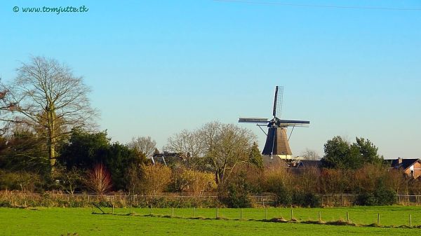 Warnsveld photo 4