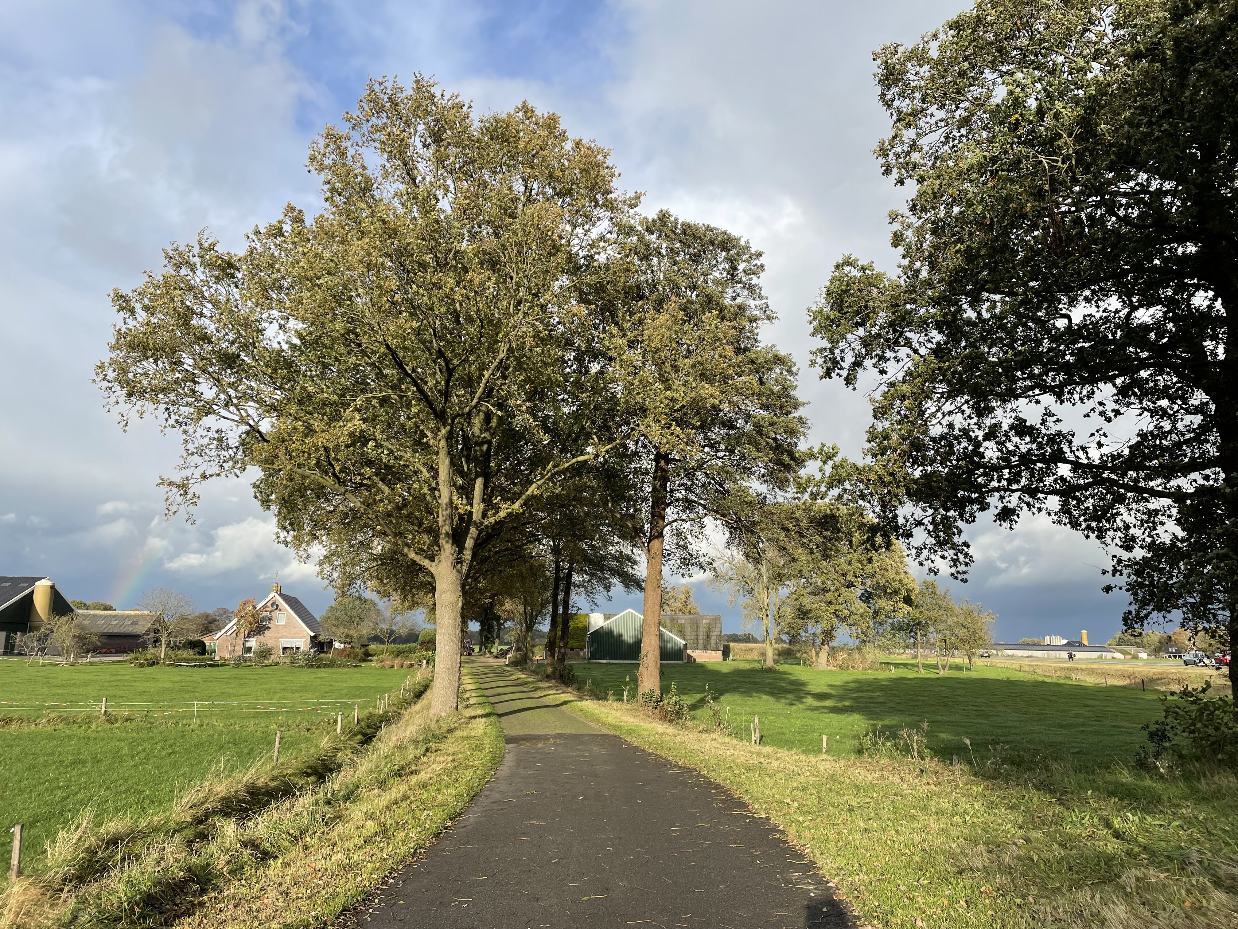 Hardenberg photo 4
